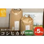 コシヒカリ 8分つき米 約5kg