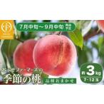 ふるさと納税 季節の桃 約3kg 7〜12玉［ おぶせファーマーズ ］桃 もも モモ ピーチ フルーツ 果物 たまき なつき あかつき 川中島白鳳 なつっ.. 長野県小布施町