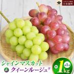 シャインマスカット&クイーンルージュ_ 約1kg