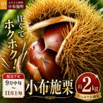 小布施栗 約2kg