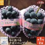 冬に食べるナガノパープル 約1kg