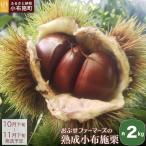 熟成小布施栗 約2kg