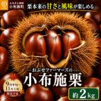 無くん蒸小布施栗 約2kg