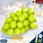厳選プレミアム 大房 蔵出し冬のシャインマスカット