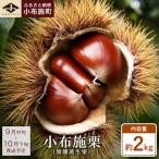 小布施栗 無燻蒸生栗 約2kg