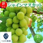 ふるさと納税 2026年 早期受付 ぶどう 訳あり シャインマスカット 2kg以上(3〜5房) 数量限定 岡山県 高梁市産 岡山県高梁市