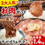 2大 お肉セット 牛肉 牛サガリ 牛タン ハラミ