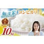 令和8年産 産コシヒカリ 10kg