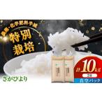 令和7年産 ななしま家 さがびより 5kg×2袋