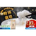 令和7年産 ななしま家 さがびより 5kg×2袋
