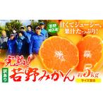 訳あり みかん 5kg