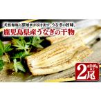 A1-1805-up うなぎ干物 1尾