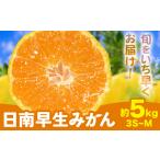 みかん 日南早生みかん 約5kg