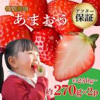 訳あり あまおう 約250g~約270g×2P