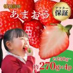 訳あり あまおう 約250g~約270g×4P