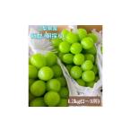 ふるさと納税 【2026年発送★先行予約】クール便 シャインマスカット 1.2kg以上 産地厳選 山梨県笛吹市産 大人気 果物 ※青果のため沖縄県・離島.. 山梨県笛吹市