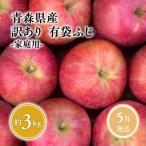 りんご 有袋ふじ 約3kg