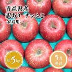 りんご サンふじ 約5kg
