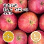 りんご 有袋ふじ 約5kg