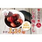 ふるさと納税 梅干し 1.24kg うめぼし 梅干し 愛媛県愛南町