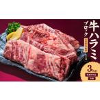 牛ハラミ ブロック 3kg