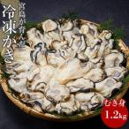 宮島が育んだ冷凍かき むき身 1.2kg