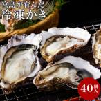 宮島が育んだ冷凍かき 殻付き 40個