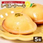 これは... まるでレモン レモンケーキ 5個