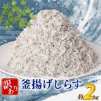 訳あり 釜揚げしらす 約2kg