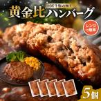 デミグラスハンバーグ 5個入り