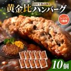 デミグラスハンバーグ 10個入り
