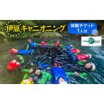 伊豆キャニオニング 1人分 体験チケット