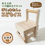 木工工作キット 背もたれ すぎ