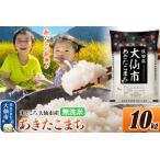 ふるさと納税 米 あきたこまち【無洗米】米どころ秋田県大仙市産 令和7年産 精米 10kg（5kg×2袋） 秋田県大仙市