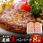黒豚生ハンバーグセット 8個入