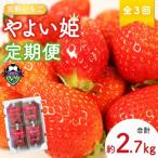 いちご 全3回定期便 やよい姫 計約2.7kg