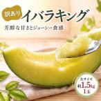 イバラキング 青肉メロン 1玉入