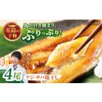 一夜干し 塩干し アジ サバ 計4尾