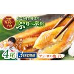 一夜干し みりん干し アジ サバ 計4尾