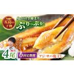 一夜干し 塩干し アジ サバ 計4尾