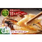 一夜干し みりん干し アジ サバ 計4尾