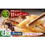 一夜干し みりん干し アジ サバ 計4尾