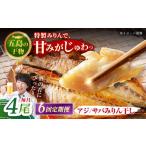 一夜干し みりん干し アジ サバ 計4尾