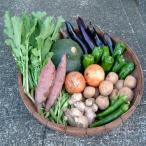 エコの環 野菜の詰め合わせ セット 詰合せ