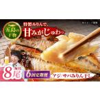 一夜干し みりん干し アジ サバ 計8尾分 愛情食彩
