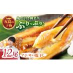 一夜干し 塩干し アジ サバ 計12尾