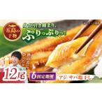 一夜干し 塩干し アジ サバ 計12尾