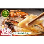一夜干し みりん干し アジ サバ 計12尾