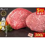 ふるさと納税 飛騨牛 ももブロック 300g（1本） ローストビーフ A5 A4 赤身 もも もも肉 ブロック肉 塊肉 国産 牛 黒毛和牛 和牛 牛肉 豪華 ギ.. 岐阜県東白川村