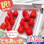 訳あり 粒不揃い とちあいか 1 120g